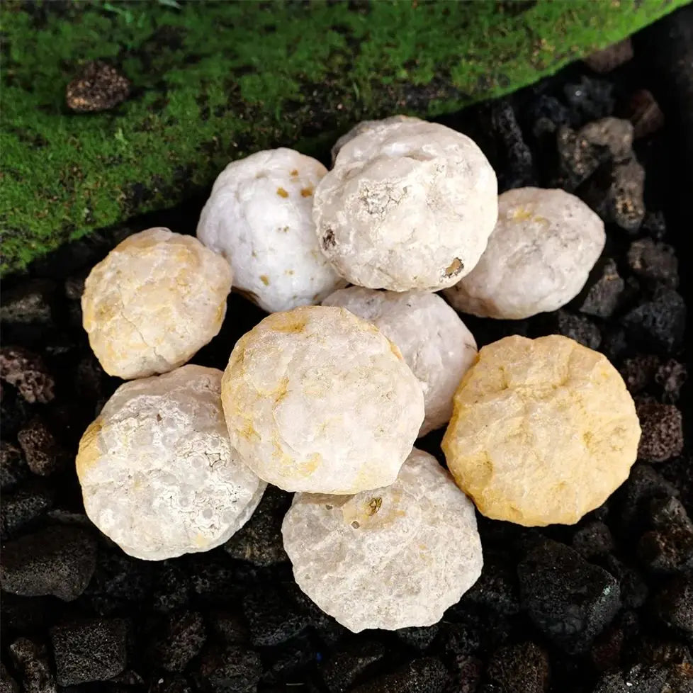 Unopened Agate Geode Raw Crystals Mineral, Crack Your Own