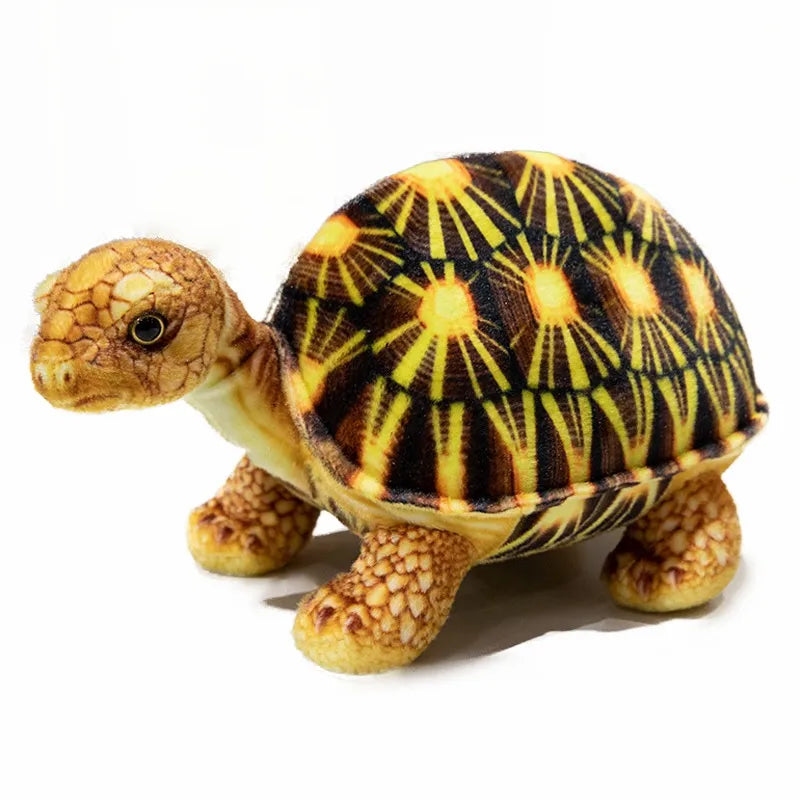 Realistic Tortoise Plush Toy