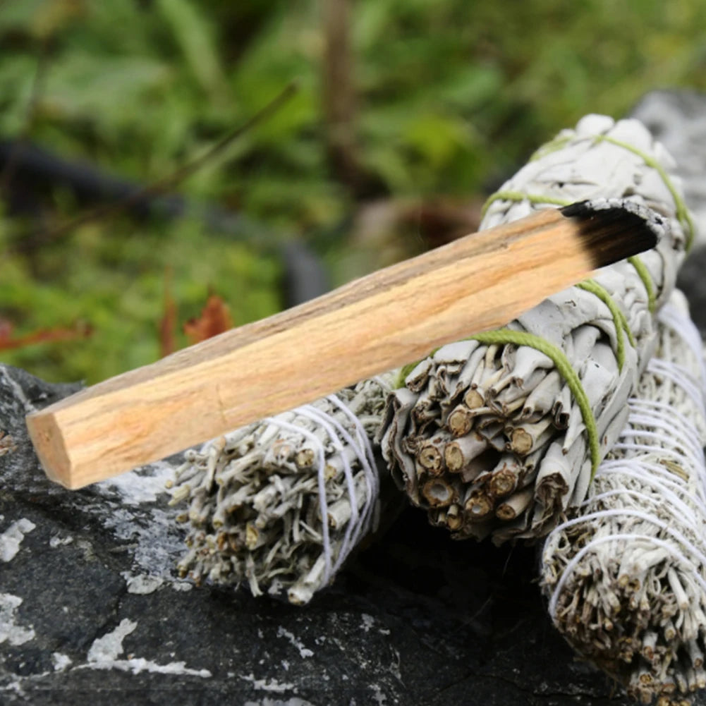 White Sage and Palo Santo Smudge Stick Set