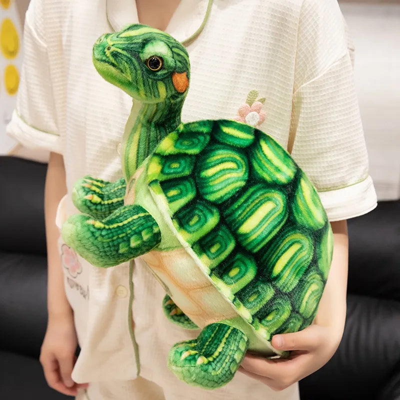 Realistic Tortoise Plush Toy