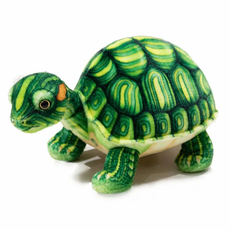 Realistic Tortoise Plush Toy