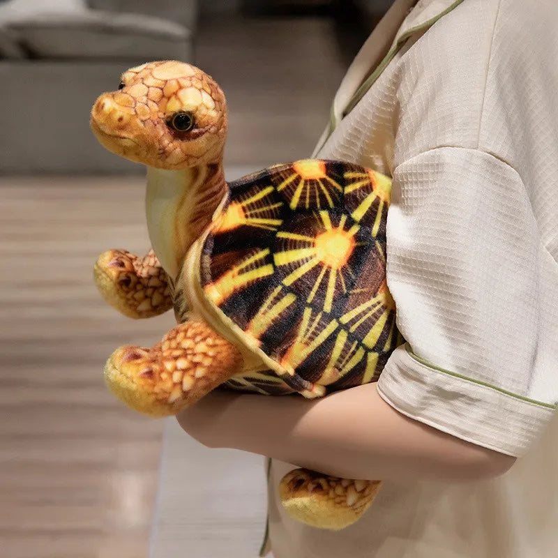 Realistic Tortoise Plush Toy